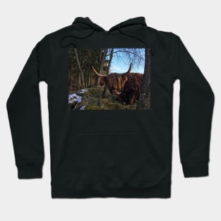 Scottish Highland Cattle Cow 2300 Hoodie